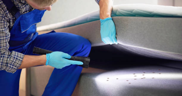 Best Residential Pest Control  in Douglas, MI