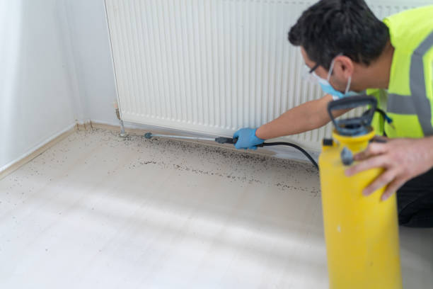 Best Pest Control for Businesses  in Douglas, MI